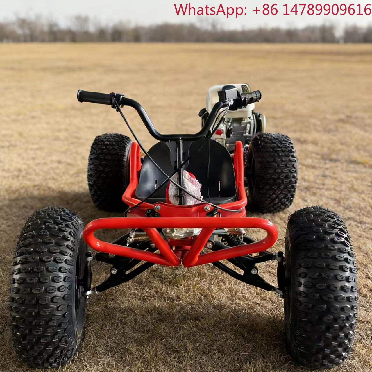 Outdoor Power Wheels - عربة سباق تعمل بالبنزين بسعة 212