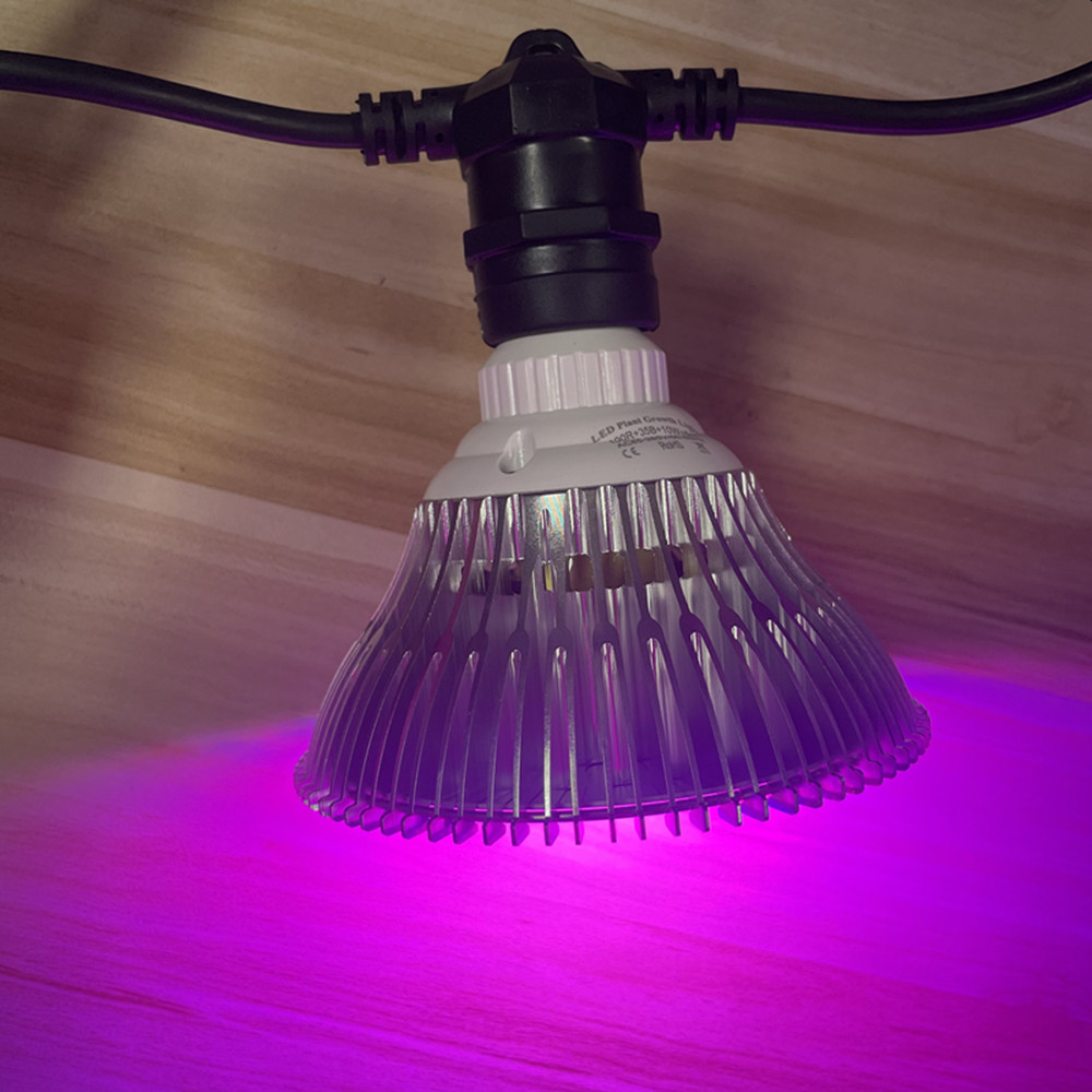 سلسلة إضاءة LED بطول 10 أمتار، - مراجعة Outdoor Power Outlet وسعره